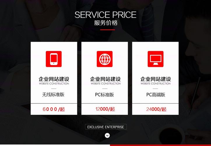 高端企业网站建设 杭州网站开发 网页设计 三网合一送域名空间-网站定